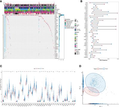 A pyroptosis-related gene signature for prognosis prediction in hepatocellular carcinoma